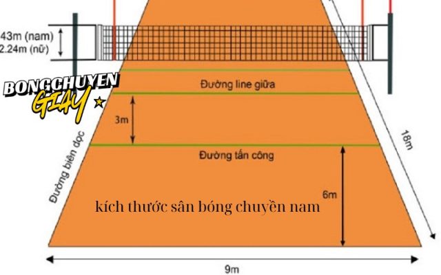 Kích thước sân bóng chuyền nam