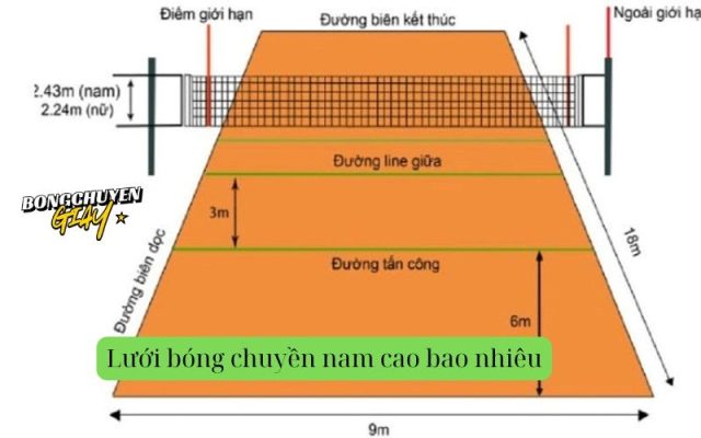 Lưới bóng chuyền nam cao bao nhiêu